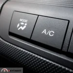 علامت بخاری