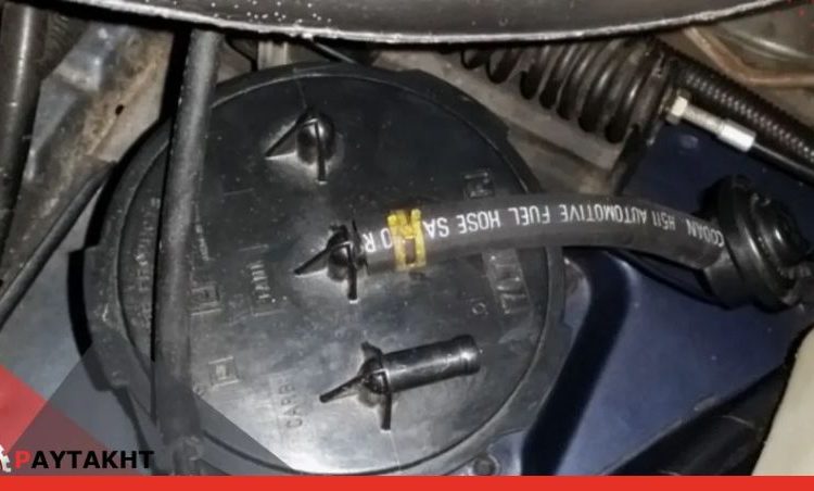  کنیستر ال نود چیست و چه کاربردی دارد؟